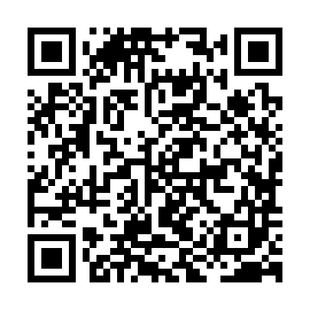 QR code for HIZ383