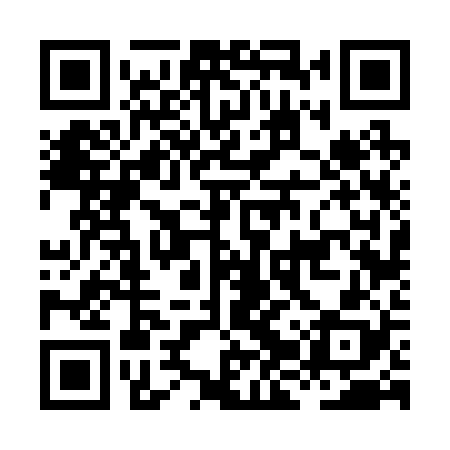 QR code for HJV228