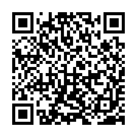 QR code for HKS393