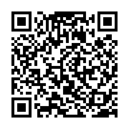QR code for HLG539