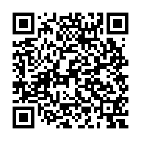 QR code for HMG310