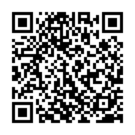 QR code for HNL101