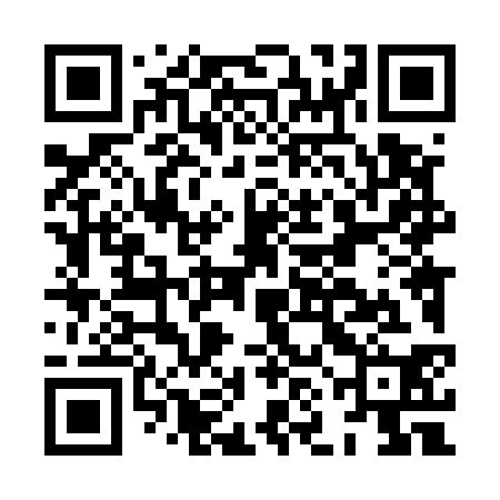 QR code for HNL530