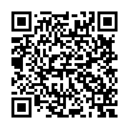 QR code for HNS817