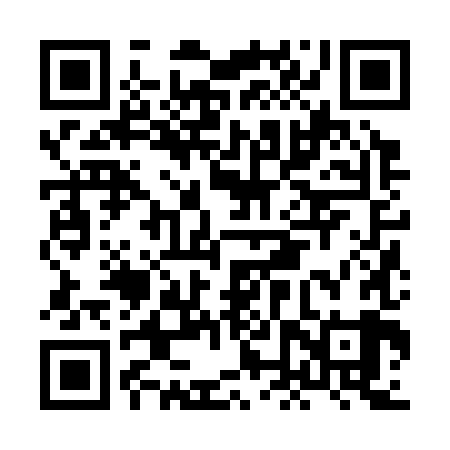 QR code for HNZ389