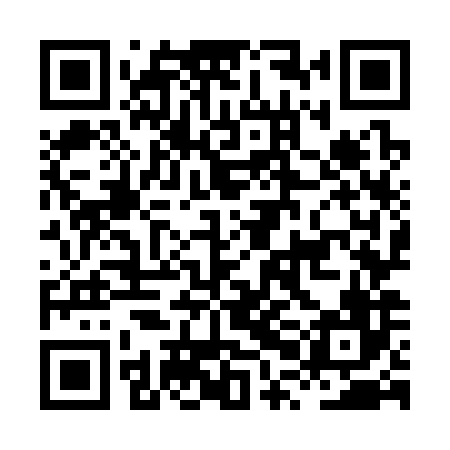 QR code for HPO386