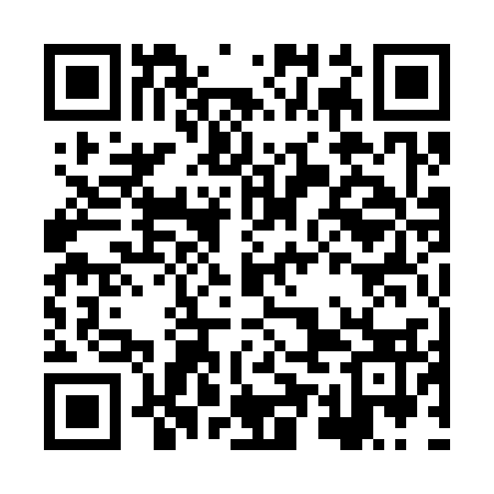 QR code for HUA333