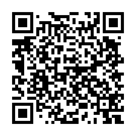 QR code for HUE419