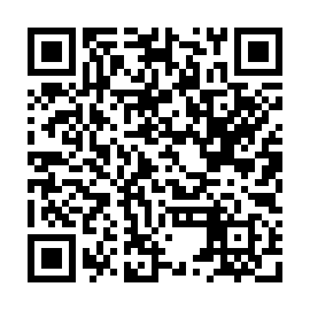 QR code for HUL398