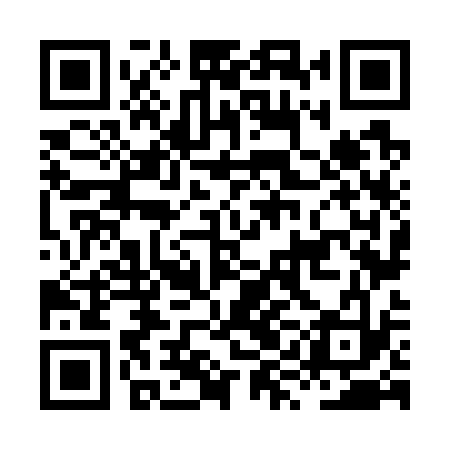 QR code for HYN733