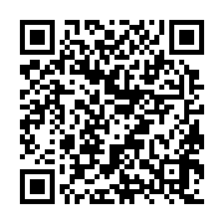 QR code for HYW398