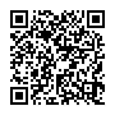 QR code for HYY933