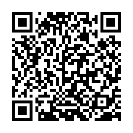 QR code for ICN219