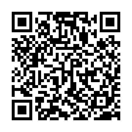 QR code for IDC295
