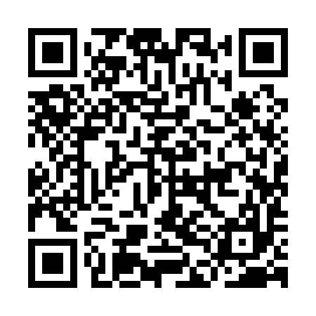 QR code for IDI197