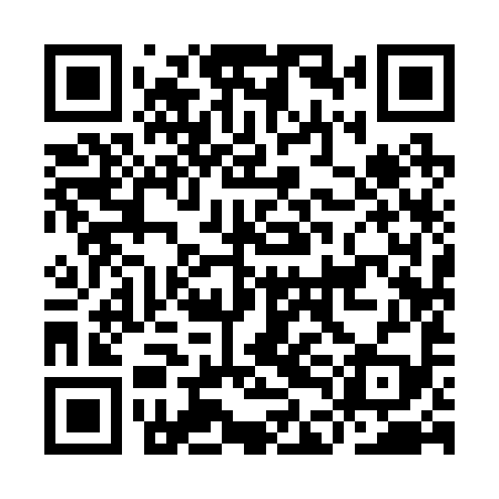 QR code for IDI299