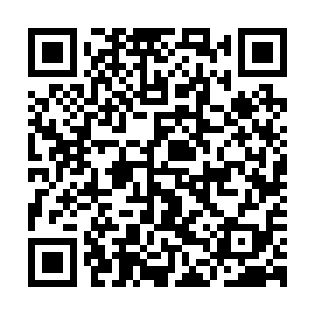 QR code for IDV219