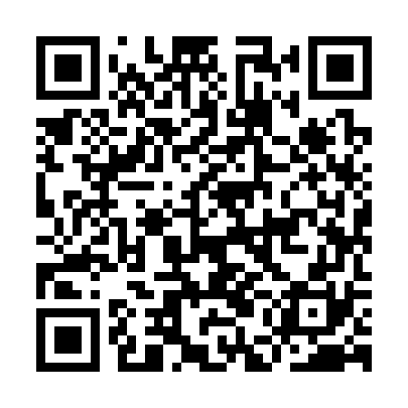 QR code for IEI370