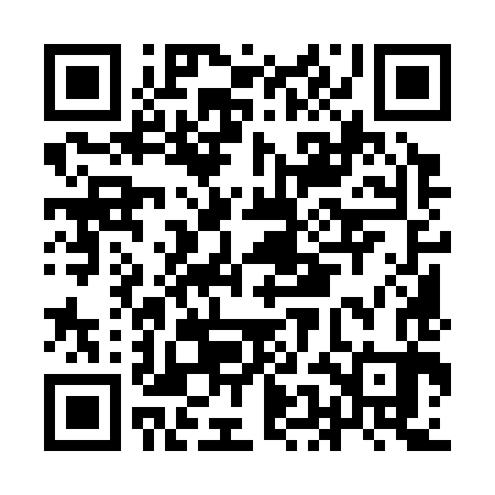 QR code for IEM383