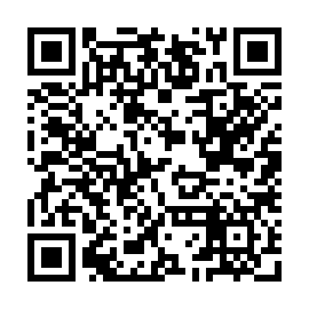QR code for IFG387