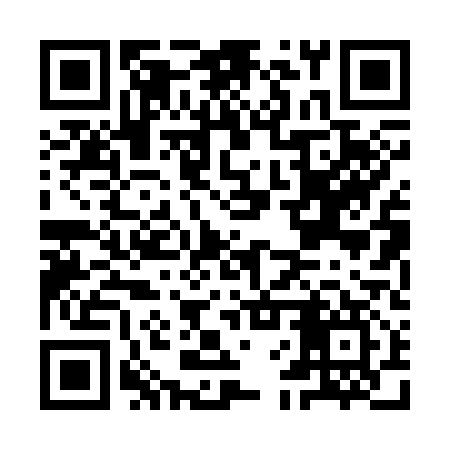 QR code for IFP317