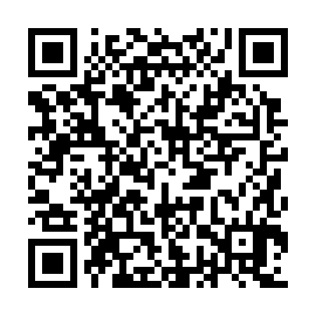 QR code for IGP384