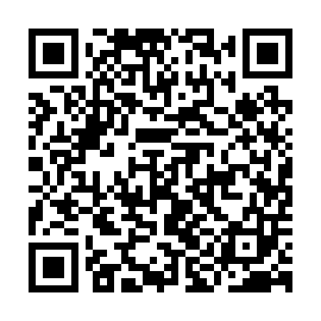 QR code for IIA203