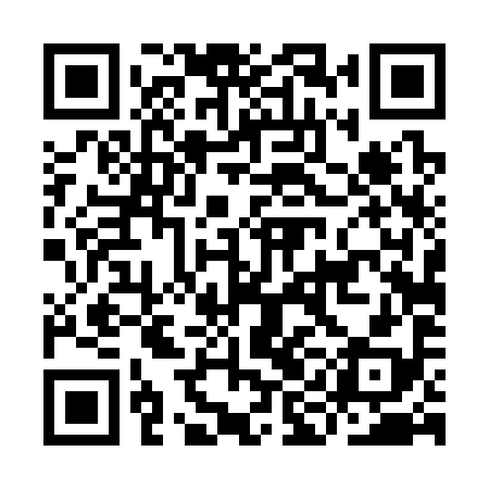 QR code for IID398
