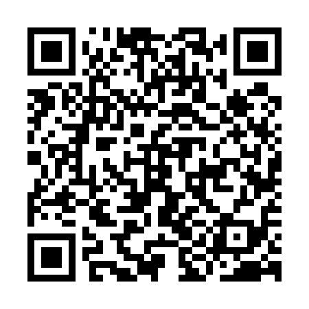 QR code for IIF519