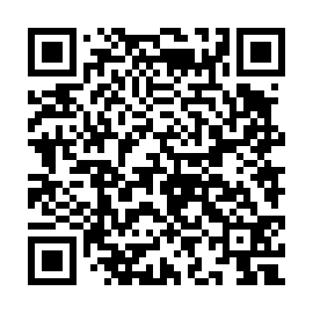 QR code for IIN432