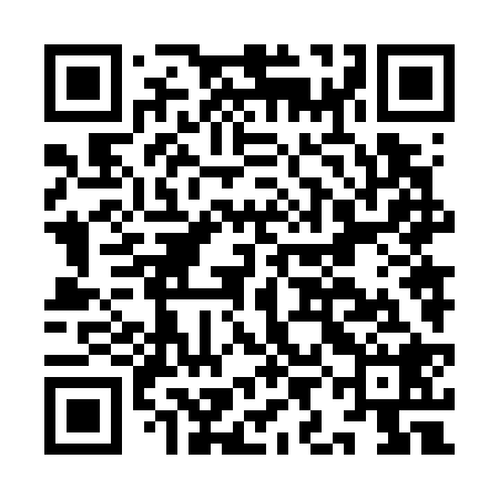 QR code for IIN728