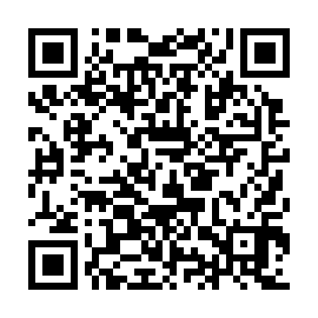 QR code for IIP310