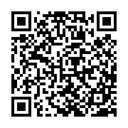 QR code for IIP407