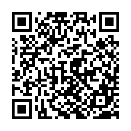 QR code for IIR206
