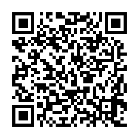 QR code for IIR999