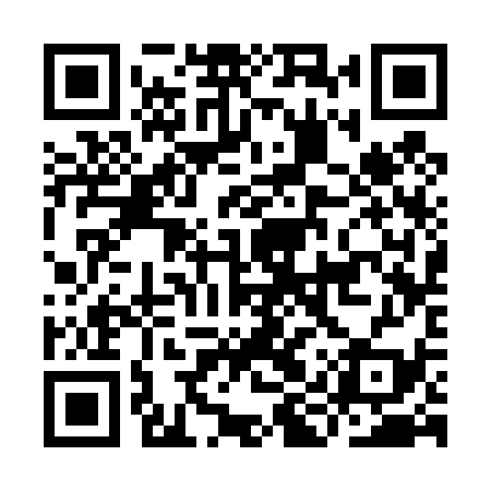 QR code for IIS439