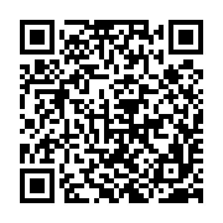 QR code for IIS596