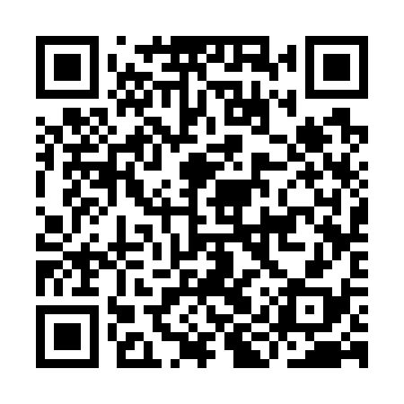 QR code for IIS738