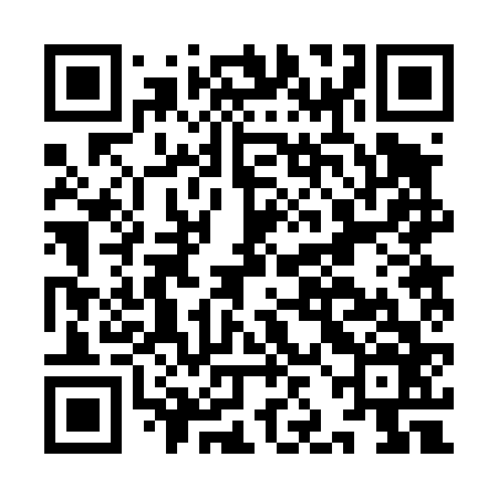 QR code for IJB466