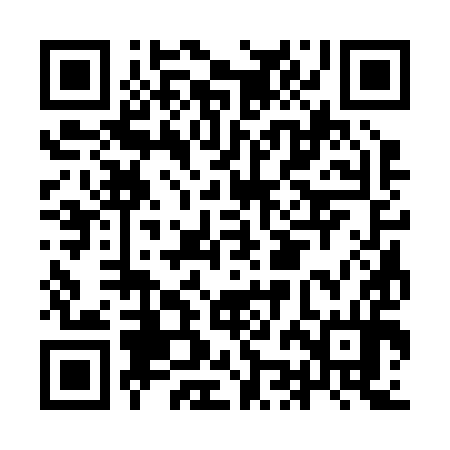 QR code for IJC294