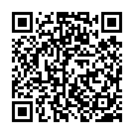 QR code for IJJ630
