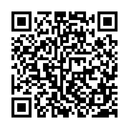 QR code for IJN306