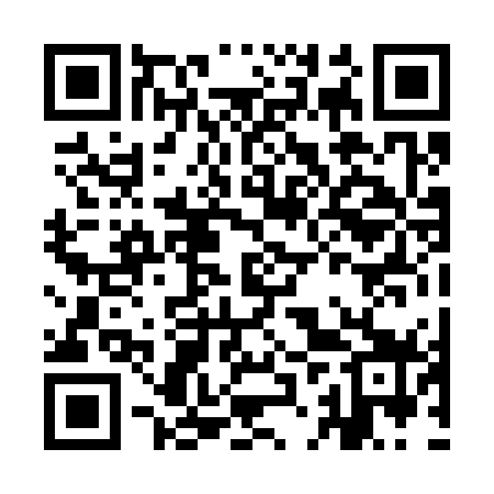 QR code for IJP379