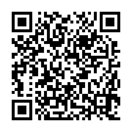 QR code for IJR294