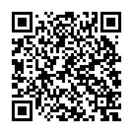 QR code for IJV229
