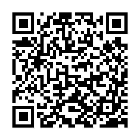 QR code for IJV663