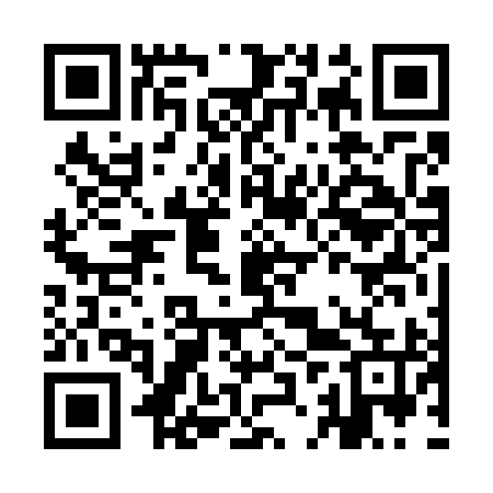 QR code for IJV795