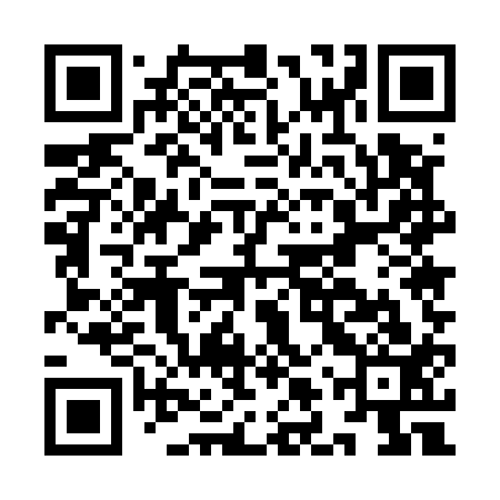 QR code for ILU513