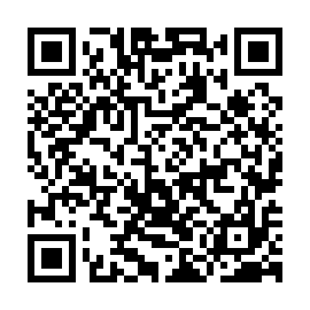 QR code for IMN117