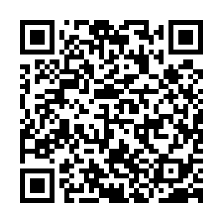 QR code for INA539